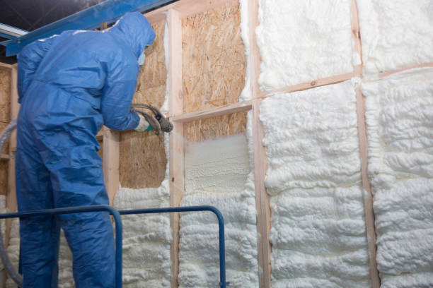 Best Crawl Space Insulation  in Lan, MI